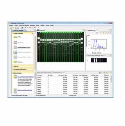 Software de Análise de Imagem LabImage 1D