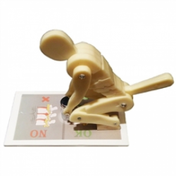 Esqueletos - Figura para Demonstração de Postura