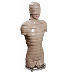 Torsos - Torso em Disco 18 Partes
